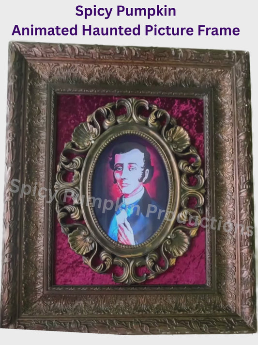Animated Haunted Picture Frame - Medium